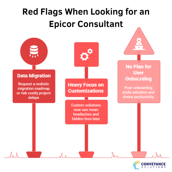 Red Flags in Epicor Consultants